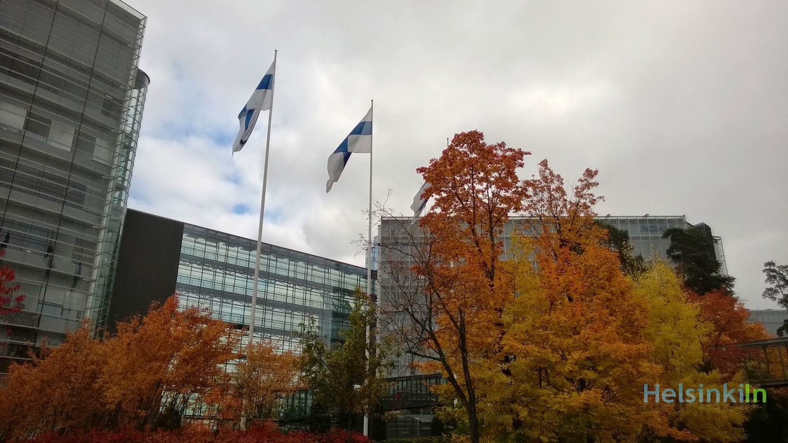Finnish flags