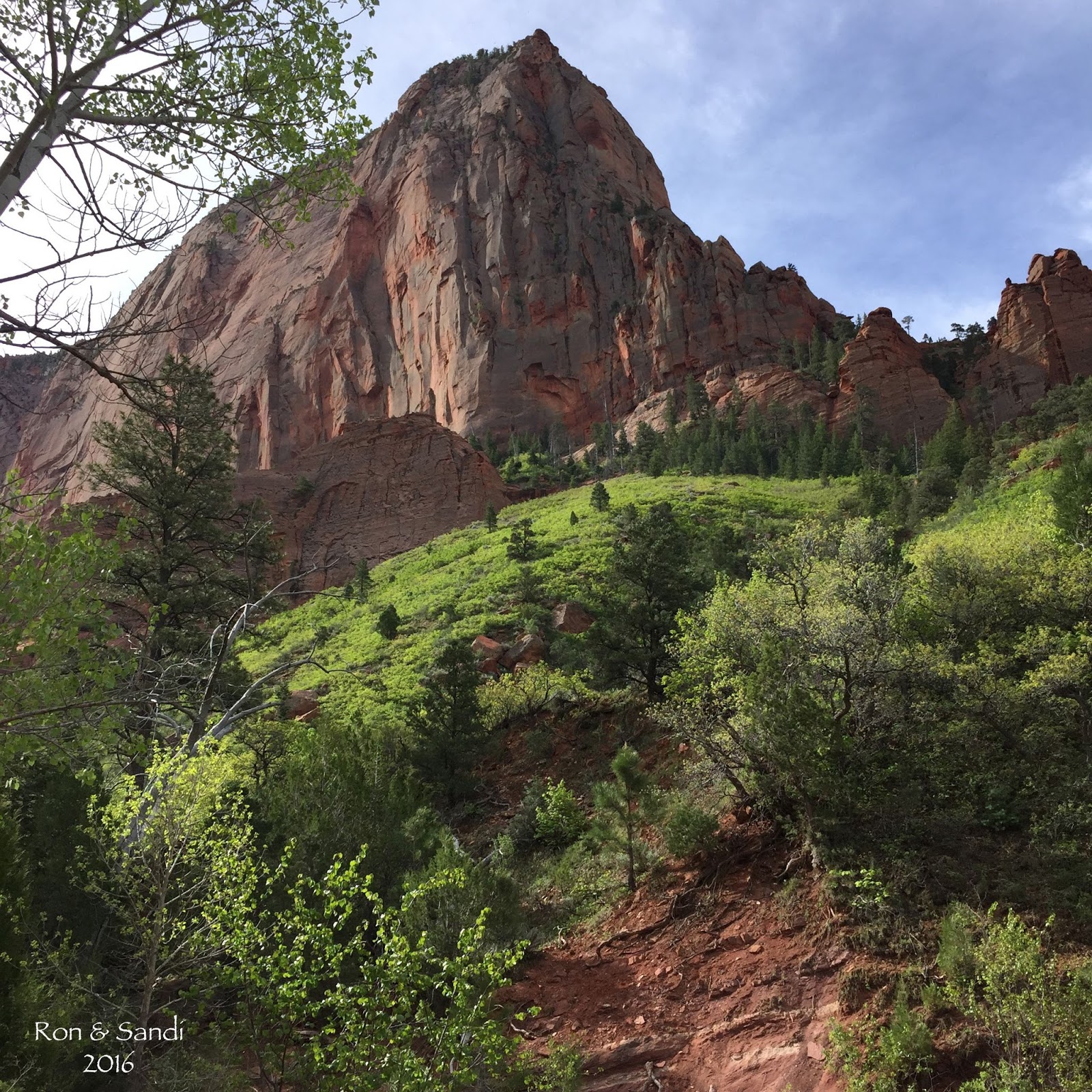 Around the Bend Friends ® Taylor Creek Zion National Park 5/14/16