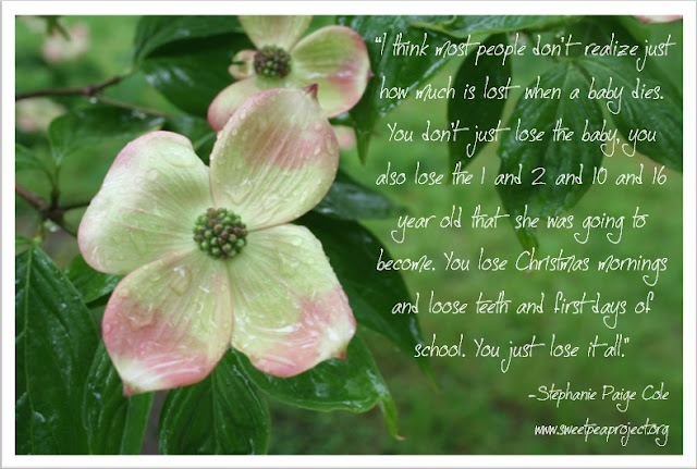 Frugal Freebies Freebie 101 Pregnancy Infant Loss Items All