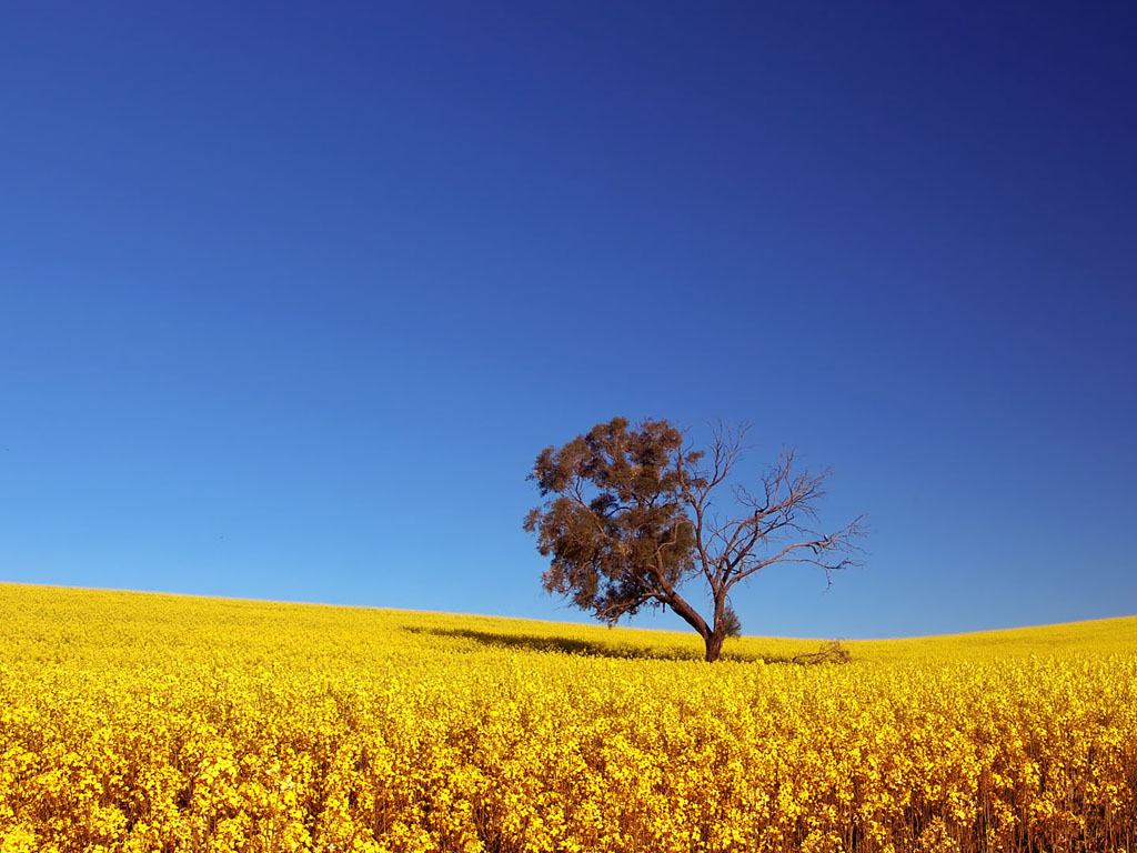 wallpapers: Free Photography Wallpapers