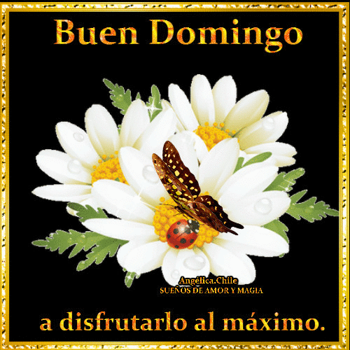 Risultati immagini per buen domingo