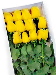 Rosas Amarillas