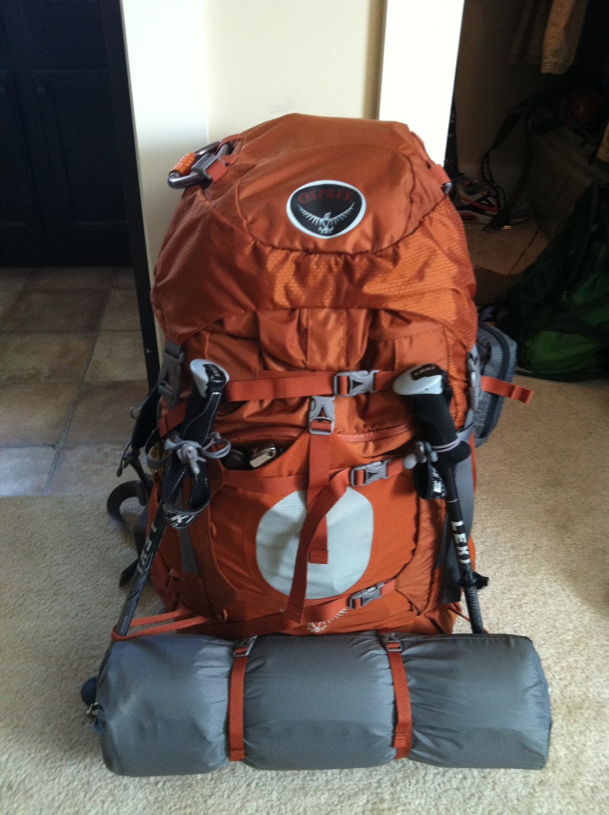 Primal Sensations The Osprey Aether 60