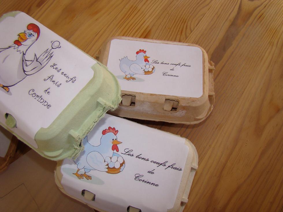 Boîte à œuf carton