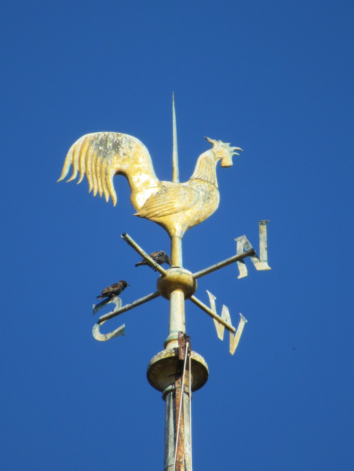 Weathervanes