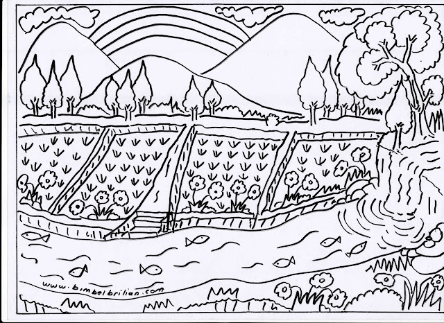 16. Gambar Sawah, Pegunungan, Pelangi dan Sungai Yang Banyak Ikannya.