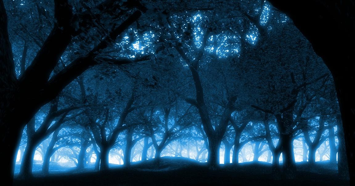 Top 10 most dangerous forests in the world, दुनिया भर में खतरनाक जंगल