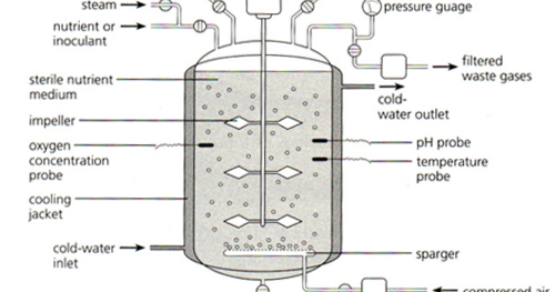 IGCSE BIOLOGY: 5.8 interpret and label a diagram of an industrial