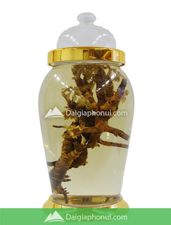 BÌNH NGÂM RƯỢU YONGCHEON HÀN QUỐC 22 LÍT – AF04 BÌNH NGÂM RƯỢU YONGCHEON HÀN QUỐC 22 LÍT – AF04
