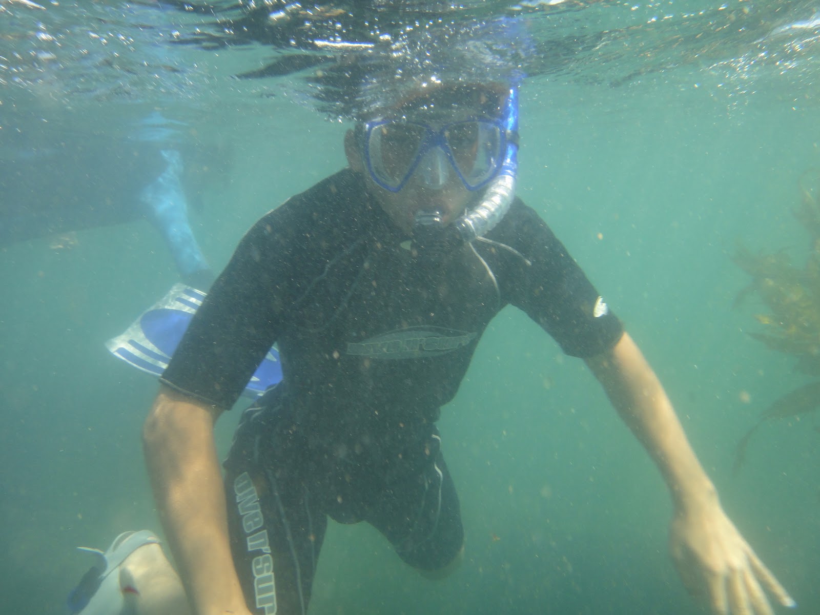 Happy Trails Snorkeling at Laguna Beach