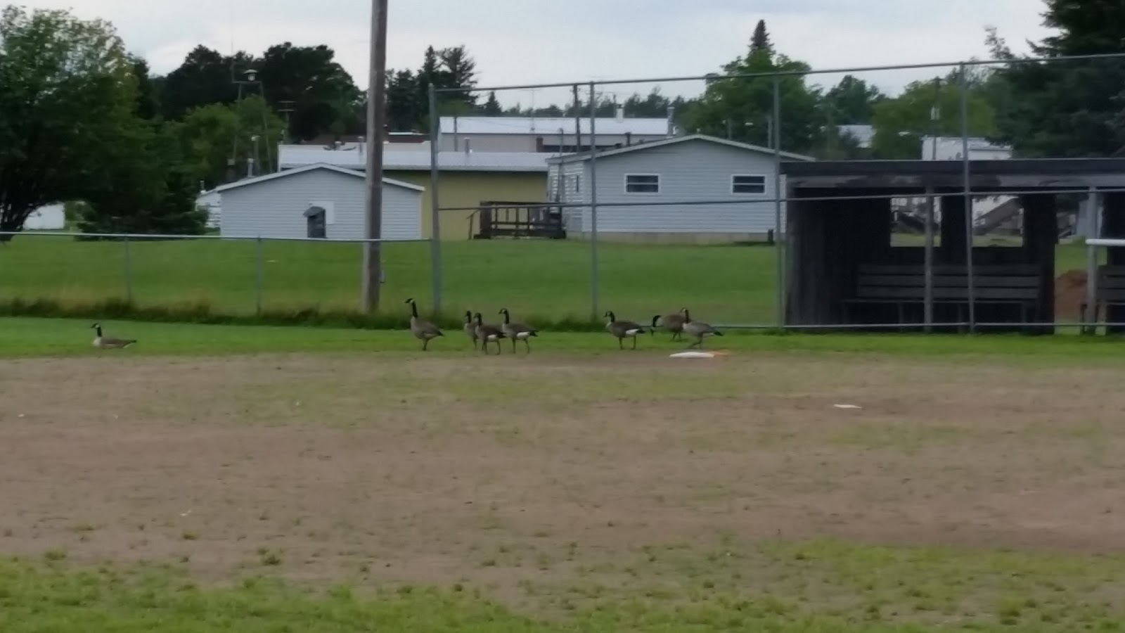 Technically Homeless Campground Review Pioneer Park Ogema, WI
