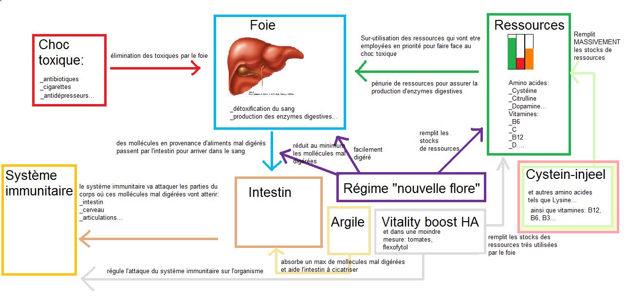 comment guerir rectocolite hémorragique