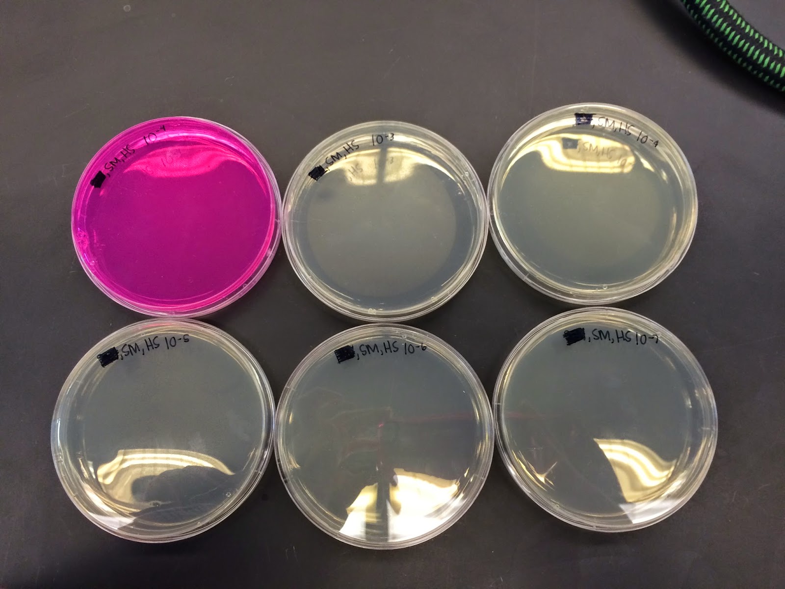 Soil Microbiology February 2015