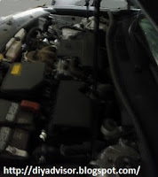 The hood is held up by to shocks The engine hood is held up by two long thin black shocks