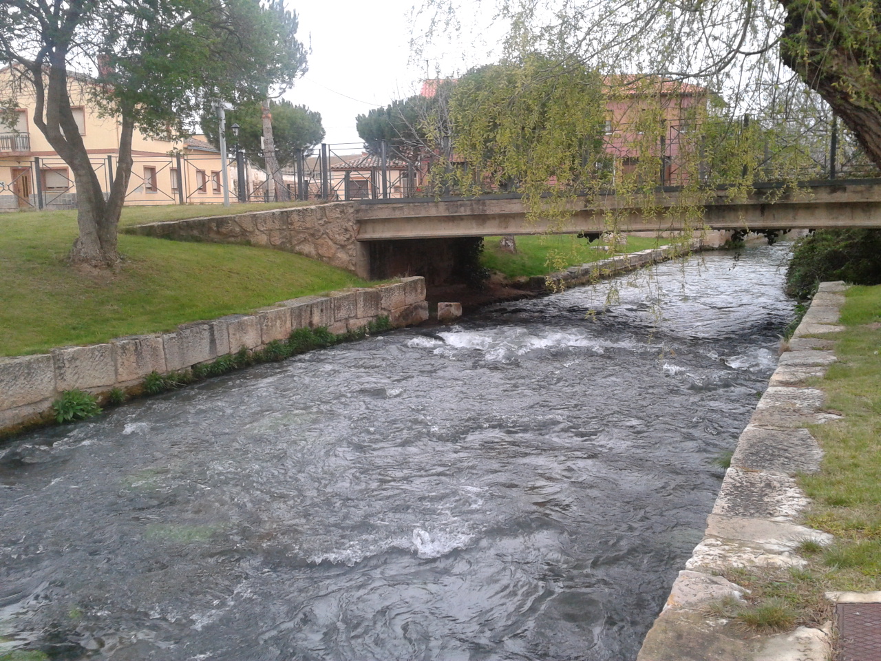 Surf Casting Masters Ninfeando por el Jiloca.