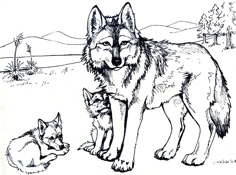 mewarnai gambar hewan dengan crayon