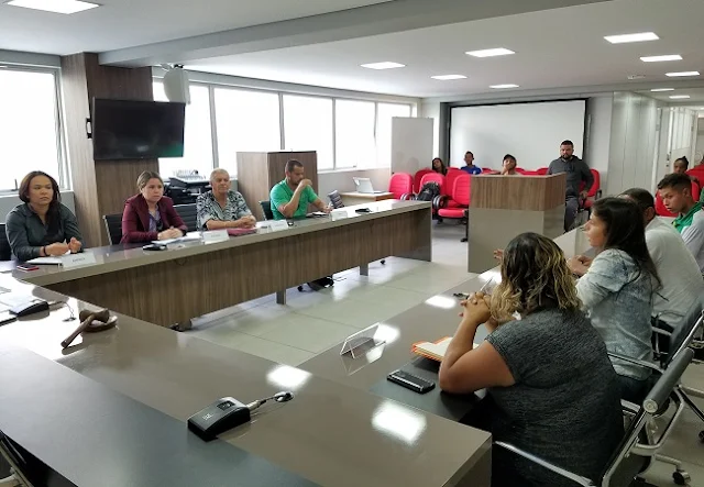 Mineiro de Futebol Feminino