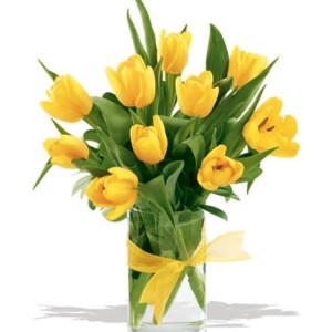 TOKO BUNGA TULIP SUKAJADI, BATAM