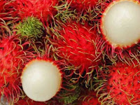 Segudang Manfaat Rambutan Untuk Kesehatan Tubuh Segudang Manfaat Rambutan Untuk Kesehatan Tubuh