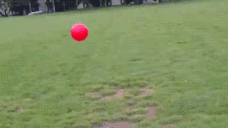 16%2B%25EC%2596%2591%25ED%2595%2599%25EC%2584%25A0.gif