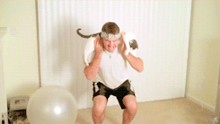 funny-gif-workout-with-your-cat-007.gif