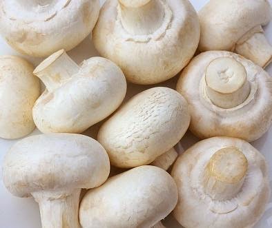 Ingredientes: Champiñones