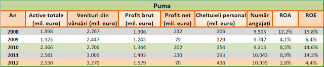 Evoluția indicatorilor de activitate la Puma