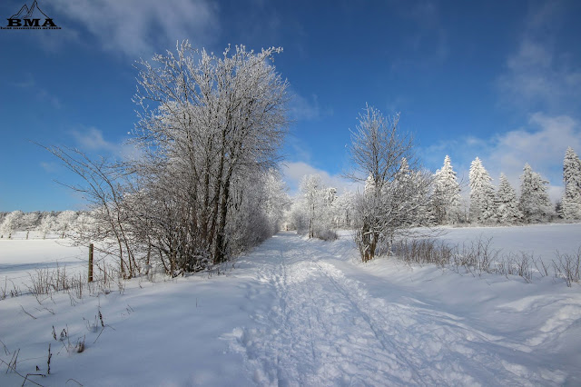 Winter Schnee outdoorblog Best Mountain Artists Vogelsberg wandern langlauf Loipe 