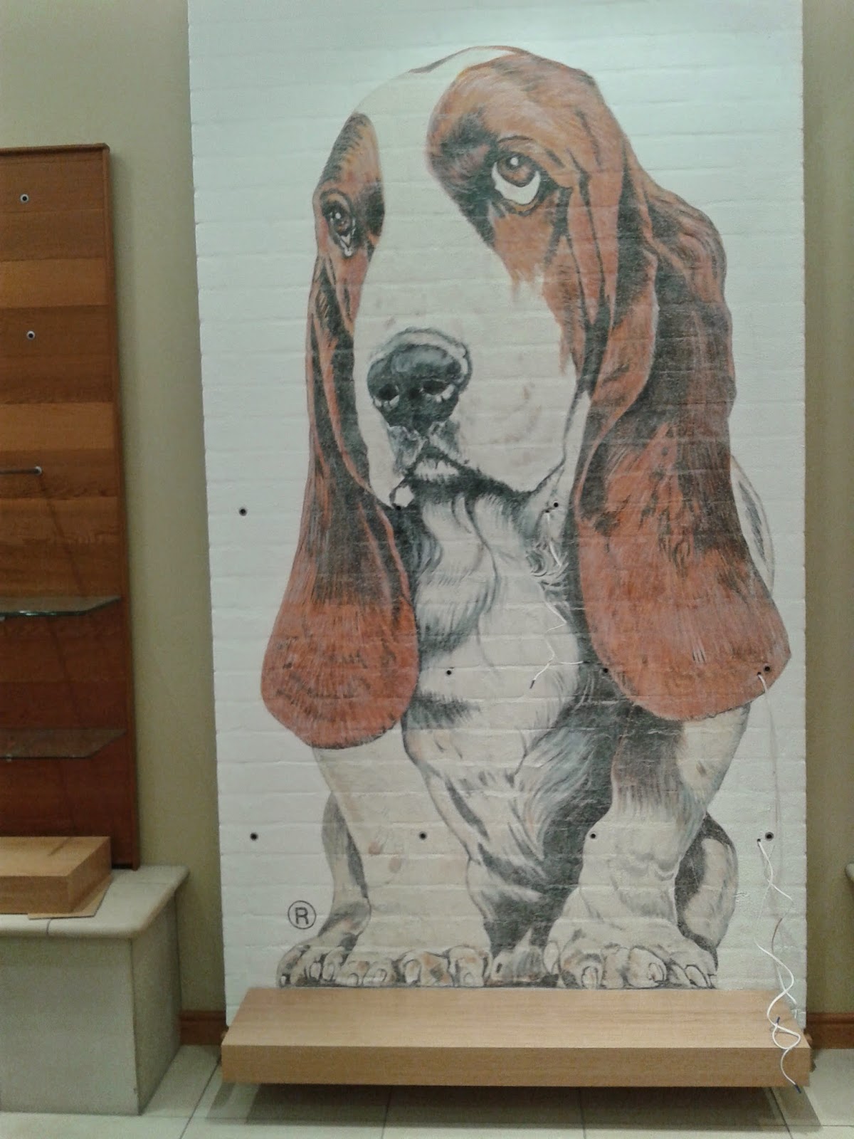 N Z MURAL ARTIST Dog Mural