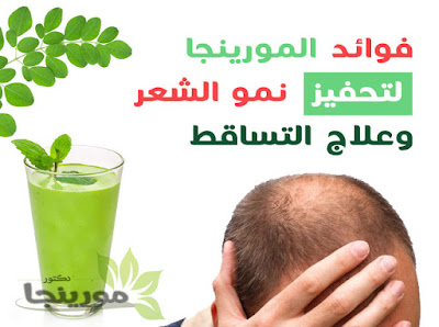 المورينجا لتساقط الشعر