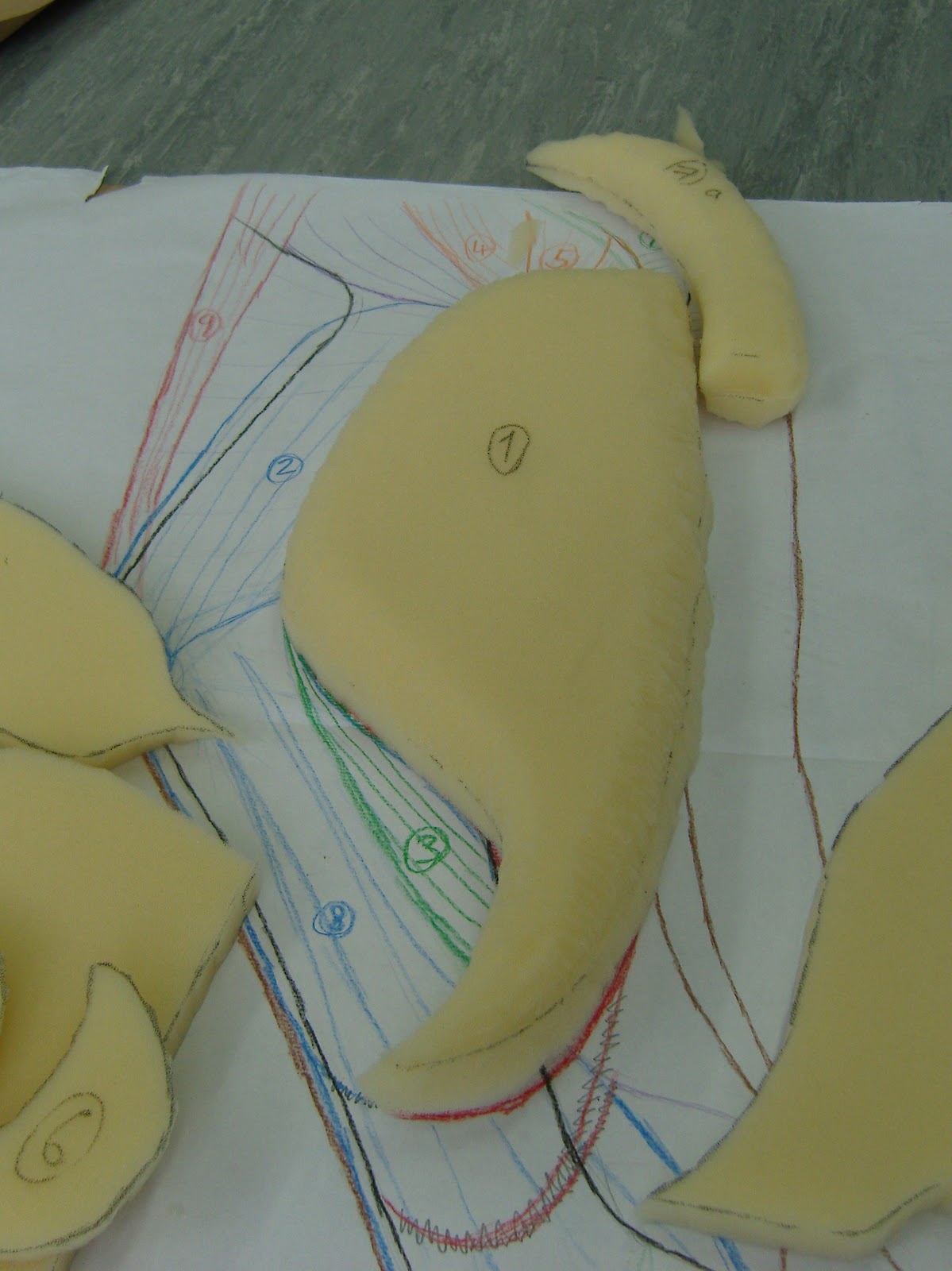 Fabrication du muscle