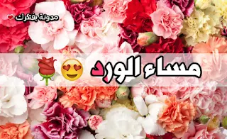 مساء الورد