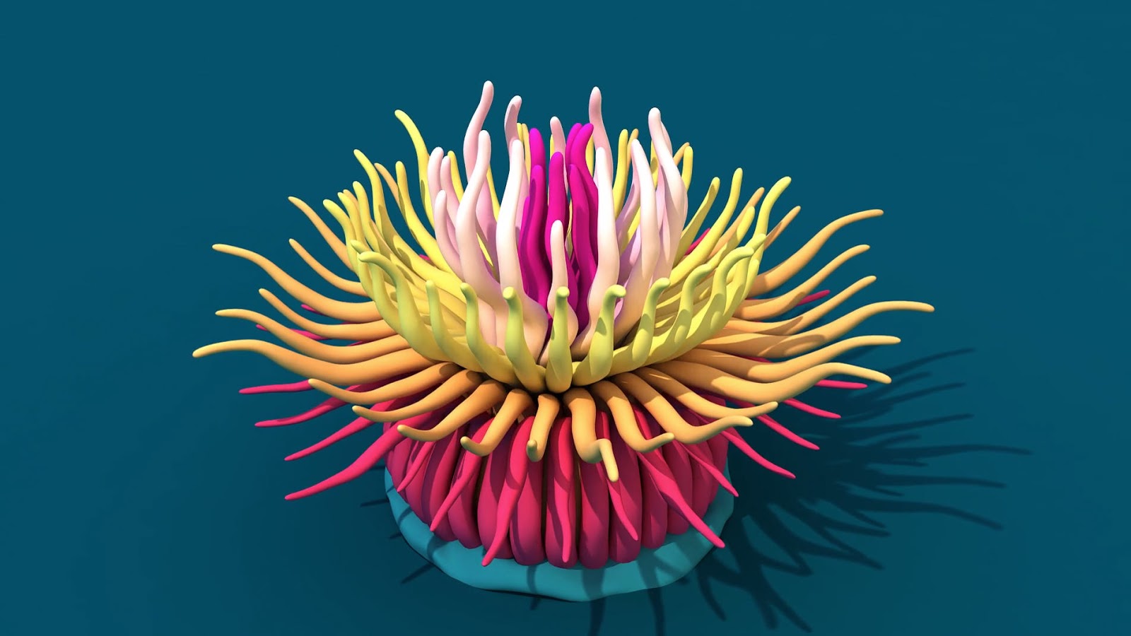 turbosplines v1.0 download turbosplines v1.0 download