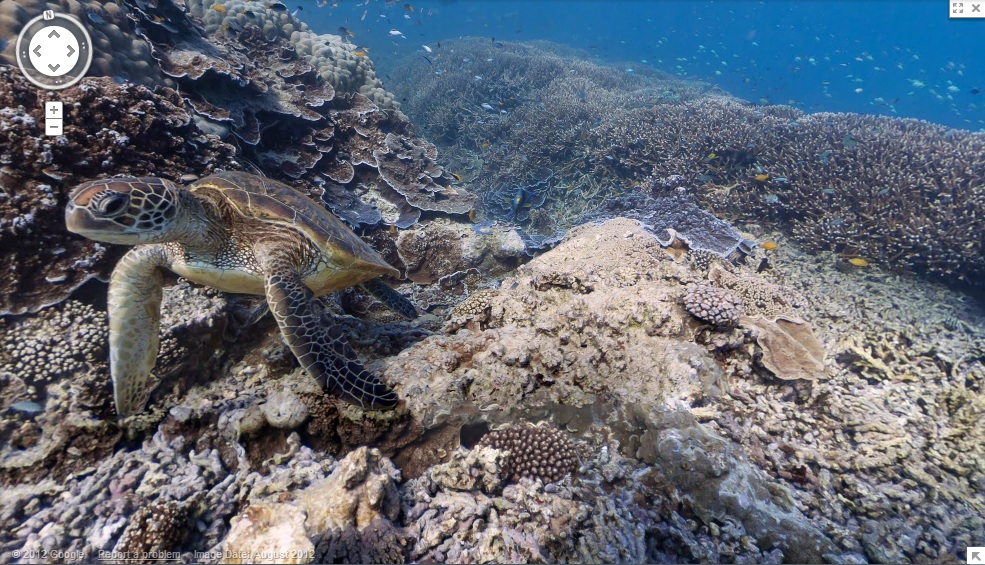 Google underwater street view Online home of Computer Languages and