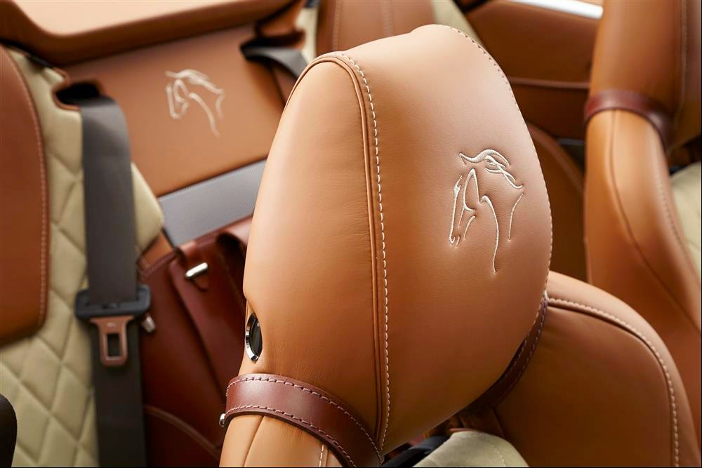 Equestrian Themed Aston Martin