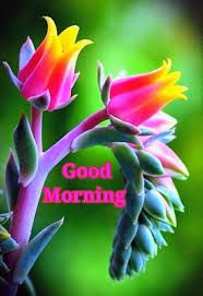 inspirational good morning messages