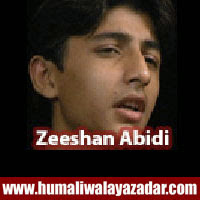 http://ishqehaider.blogspot.com/2013/11/zeeshan-abidi-nohay-2014.html