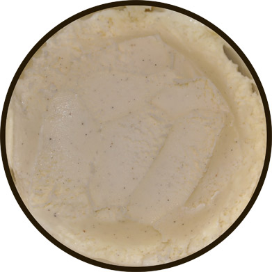 haagen dazs vanilla bean ice cream haagen dazs vanilla bean ice cream