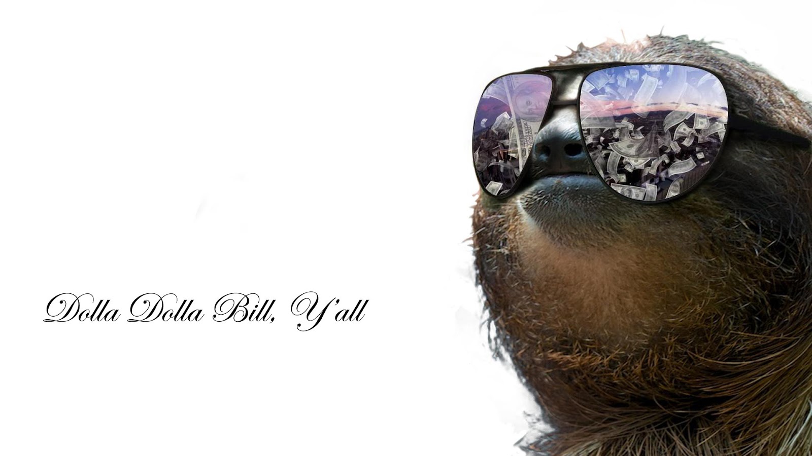 Sloth Wallpapers Sloth Wallpapers