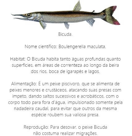 Peixe Bicuda Peixe-Bicuda