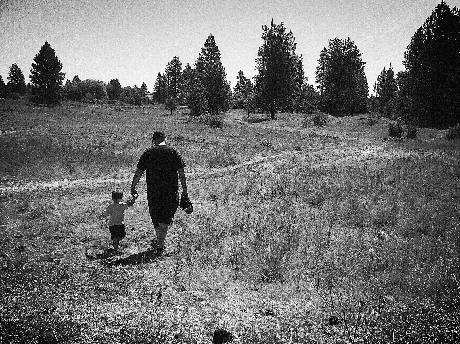 here-to-there-the-dad