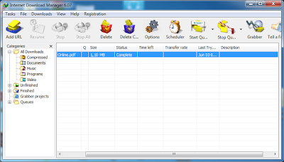 Internet Download Manager 6.07 FULL