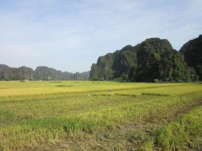 Tam Coc