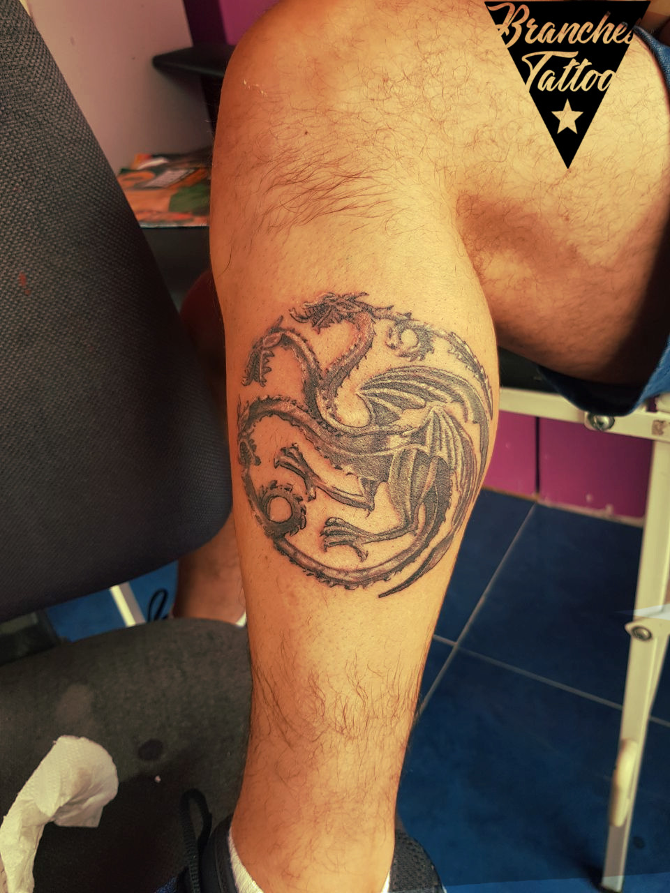 Branches Tattoo Escudos Stark Y Targaryen De Game Of Thrones