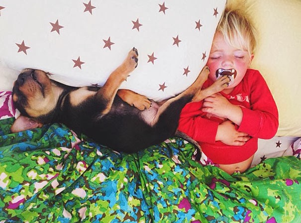 dog and toddler napping together1