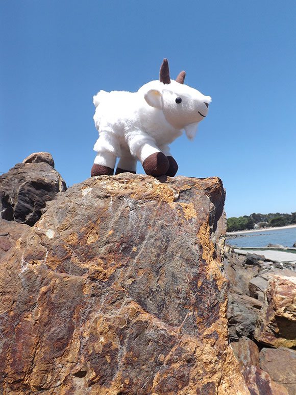 : Mountain Goat plush toy