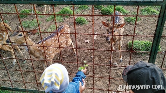 JJS Ke Taman Uncal dan Taman Anak Sabilulungan, Kabupaten Bandung | Nia