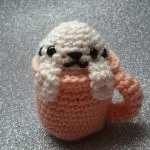 https://craftchamp.wordpress.com/2017/01/22/kit-tea-weekend-crochet-along-2/