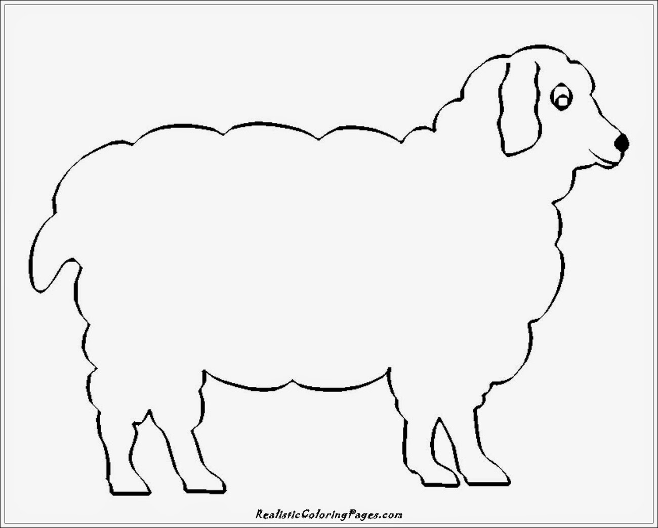 Realistic Lamb Coloring Pages