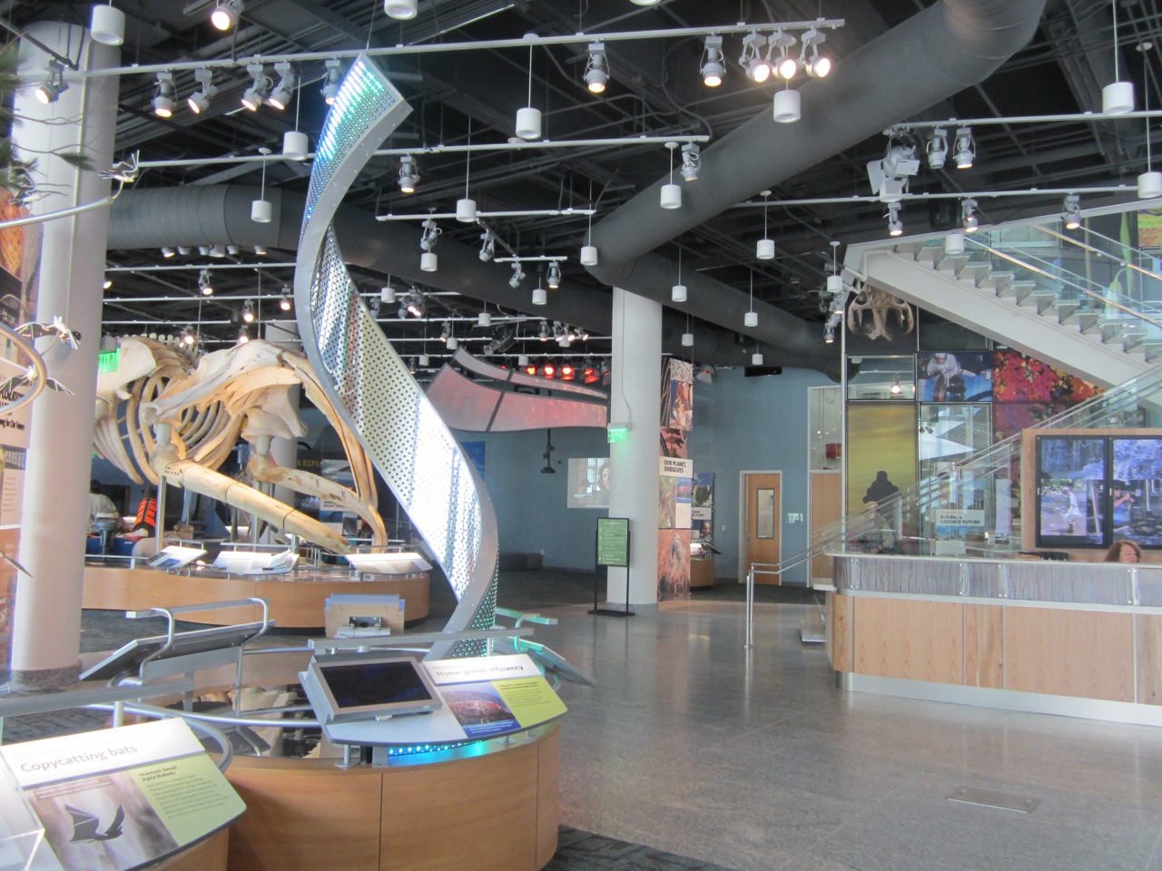 The Stir Crazy Moms' Guide to Durham North Carolina Museum of Natural